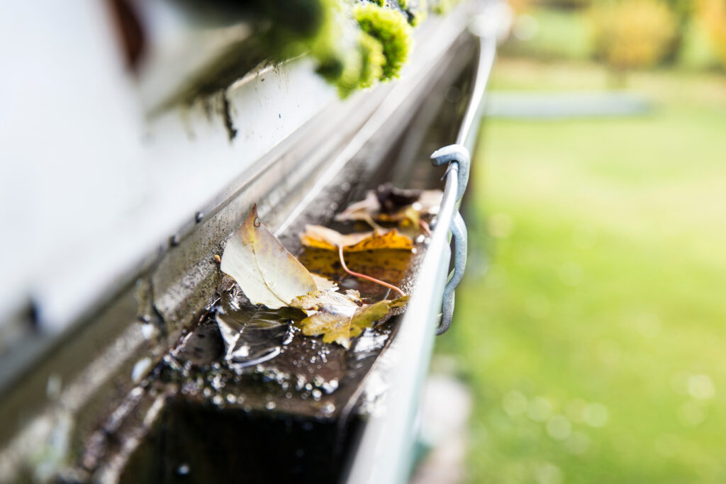 Rainwater gutter cleaning - Seamless Gutter Installation